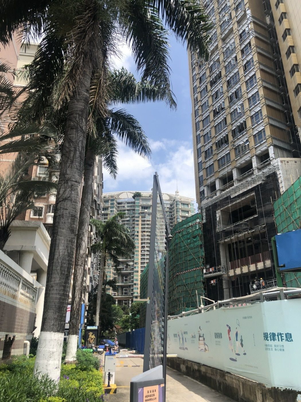左岸红树湾府